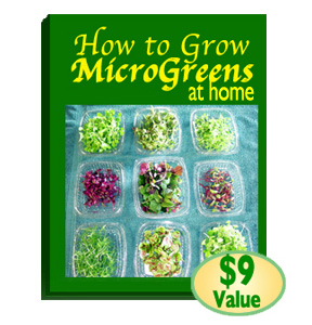 How to Grow MicroGreens Book