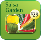 Salsa Garden